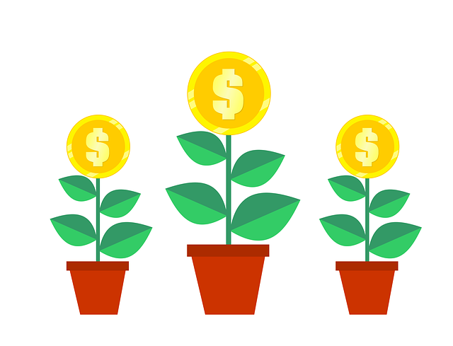 Investasi dan Psikologi Keuangan: Jangan Sampai Emosi Mengalahkan Logika