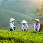 Dampak Kebijakan Ekonomi Pertanian terhadap Utang Negara